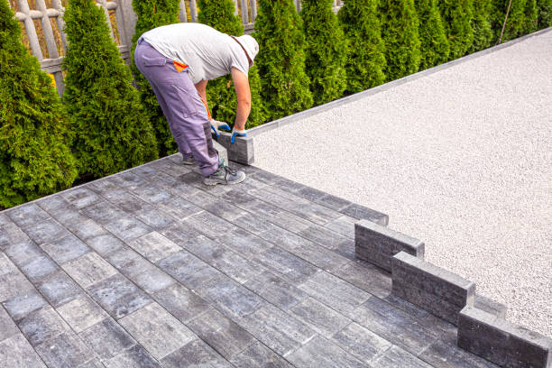 Best Driveway Repair Near Me  in Pocahontas, IA