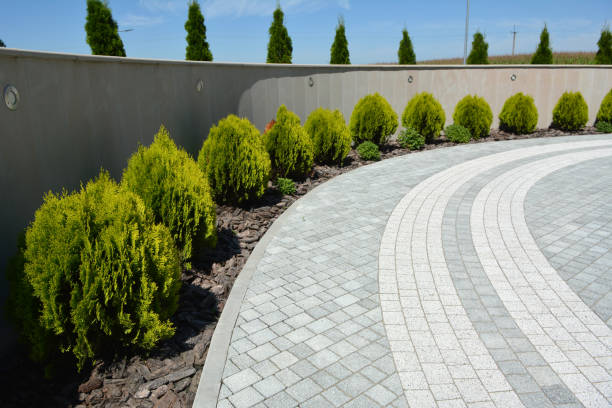 Best Driveway Pavers Near Me  in Pocahontas, IA